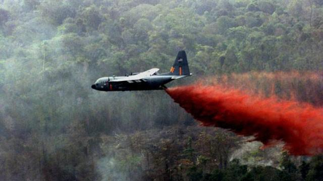 Tunnel Rats were at higher risk from Agent Orange since they spent more time in the ground. 